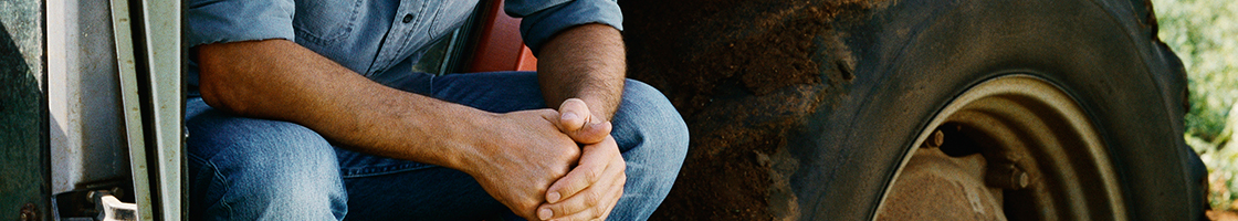 Banner 2